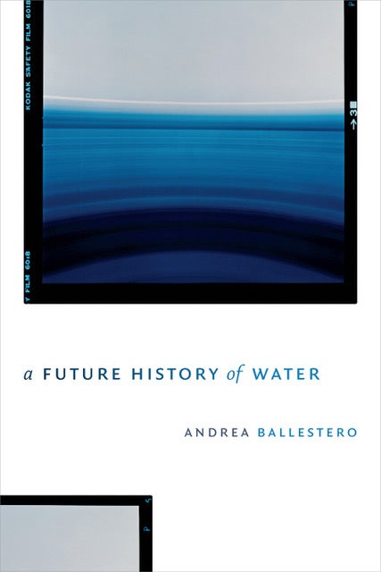 Andrea Ballestero